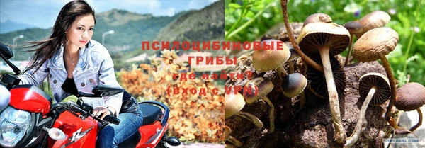 стаф Заволжск