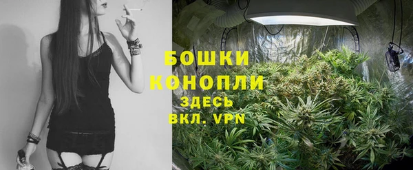 стаф Заволжск